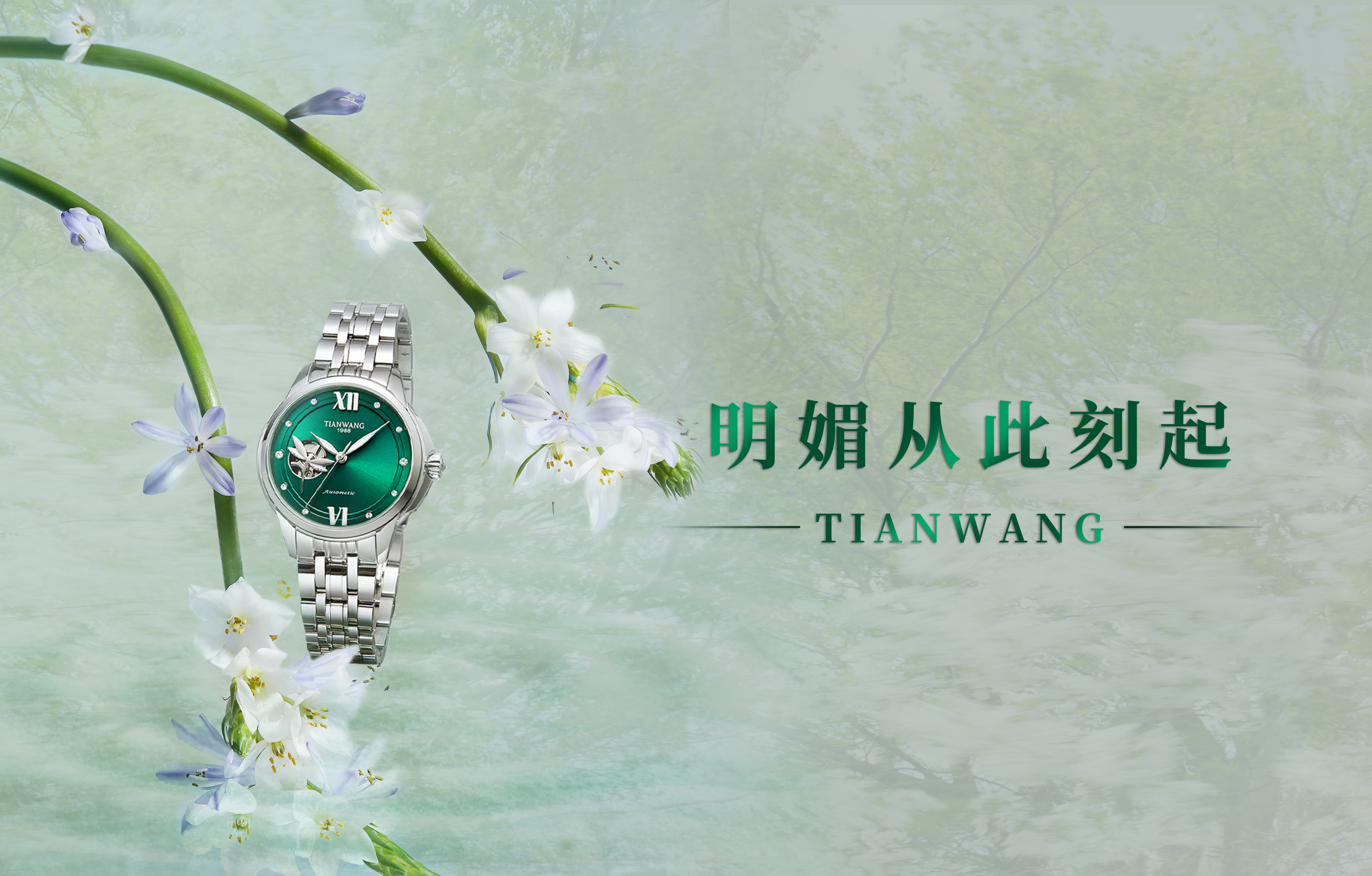 趁春光，尋春色